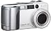RICOH Caplio GX �V���o�[