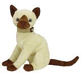 Buy Siam the Siamese Cat Ty Beanie Baby Knowing God: Walking through the Book of Books