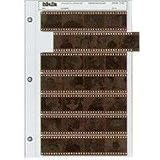 Print File Archival 35mm Size Negative Pages Holds Seven Strips of Four Frames, Pack of 25