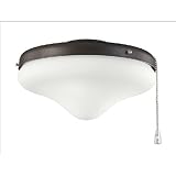Outdoor Fan Light Kit in Powder Coat Tannery Bronze