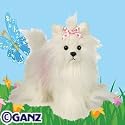 WEBKINZ YORKIE DOG MARCH PET OF THE MONTH BRAND NEW SEALED TAG