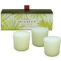 Thymes  Aromatic Votive Candles, Set of 3, Frasier Fir