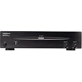 AudioSource Amp 200 High-Current Stereo Amplifier (80 Watts x 2)