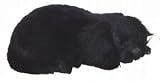 Life-like Curled Up Sleeping Black Spaniel Puppy Decoration