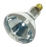 Satco Products S4750 125R40 Heat Lamp