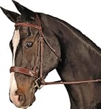 COLLEGIATE RAISED FANCY STITCHED WIDE NOSEBAND BRIDLE