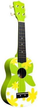 Amahi DDUK6 Tropical Soprano Uke w/bag, Green Flower Design