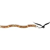 How to Train Your Dragon 2 "Happy Birthday Dragon Rider" Banner 5.75 Ft
