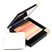 Limited Edition Estee Lauder Chic to Cheek Palette for eyes and Face