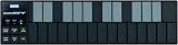 nano KEY USB MIDI Controller (Black) nano KEY USB MIDI Controller (Black)