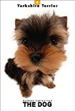 THE DOG Artlist - Yorkshire Terrier - Hand Book - 6 Postcards