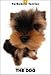 yorkshire terrier - THE DOG Artlist - Yorkshire Terrier - Hand Book - 6 Postcards