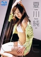 ONE 夏川純 [DVD]