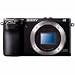Sony NEX-7 24.3 MP Compact Interchangeable Lens Camera - Body Only