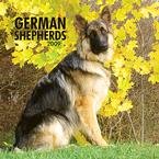 German Shepherds 2009 Wall Calendar
