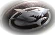 GameShark Xbox 8MB Memory Card