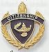 Citizenship Lapel Pins (10-Pack)