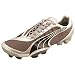 PUMA v1.08 I FG KIDS Cleats (PUMA Silver/Dark Gull Grey/Black