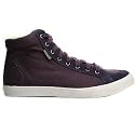 Pointer Soma 2 Canvas - Mysterioso