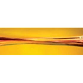Synchronize IV by Gregory Garrett poster print,60 in. x 20 in.