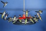 Droll Yankees Large Hummingbird Feeder