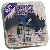 Berry Treat Suet - 11 Oz. *