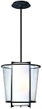 Bennington 15.25 High Fluorescent Outdoor Hanging Light