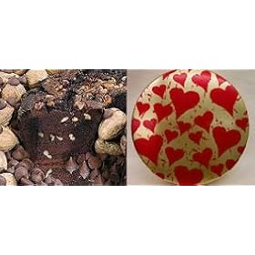 All Star Chocolate 8" Coffee Cake (Cherished Gift Tin)
