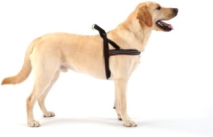 ComfortFlex American Made Fully Padded Non-Chafing Reflective Quick Fit Adjustable Sport Harness for Active Dogs