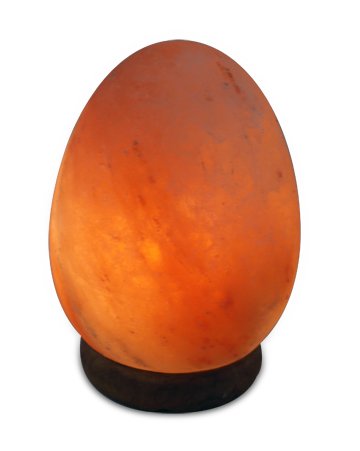 Egg Salt Lamp