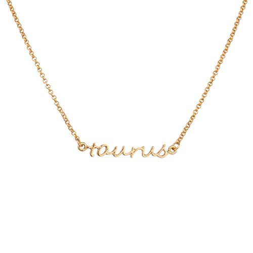 Lux Accessories Taurus April May Bull Horoscope Zodiac Word Pendant Necklace