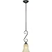 RAM Lighting HAW-6DBZ Hawthorn Tuscan Bronze Pendant