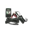 BatteryMINDer Charger/Maintainer/Desulfator - 1.3 Amp, 12 Volt, Model# 12117