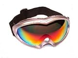 Birdz Eyewear Ice Bird Silver Revo Lens Anti Fog Ski Goggle