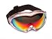 Sporting Goods : Birdz Eyewear Ice Bird Silver Revo Lens Anti Fog Ski Goggle