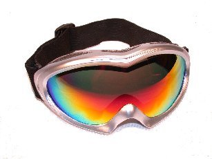 Childrens Toyshop  Sporting Goods : Birdz Eyewear Ice Bird Silver Revo Lens Anti Fog Ski Goggle