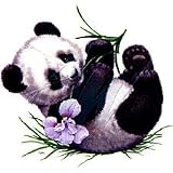 Panda Bear... Youth T-Shirt