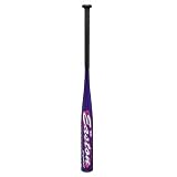 Easton 25/15 Fast Pitch Bat - SK20