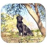 Chocolate Labrador Retriever Full Body Mouse Pad