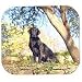 Chocolate Labrador Retriever Full Body Mouse Pad