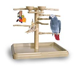 Cockatiel Table Top Play Stand