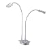 Eternity Double Gooseneck Desk Lamp