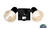 FL300 Dual Floodlight with Motion Sensor / Black / Energy Star Approved Motion Detecting Flood Light Fixture