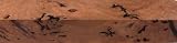 Mallee Red Burl Pepper Mill 2