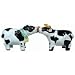 93403 Westland Giftware Mwah Magnetic Cow and Bull Salt and Pepper Shaker Set, 2-1/2-Inch