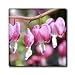 Pretty Pink Bleeding Heart Flowers - Spring Photography - 6 Inch Glass Tile