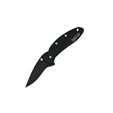 Kershaw Knives K.O. Chive, TiNi Coated Handle & Blade, Plain