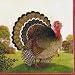 Autumn Farm Thanksgiving Party Lunch Napkins