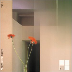 【クリックで詳細表示】New Sound Theory 1 [Import， from US]