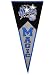 Orlando Magic Classic Pennant